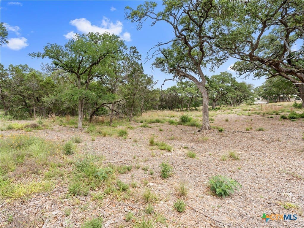 11.13 acres in Hays County - photo 35