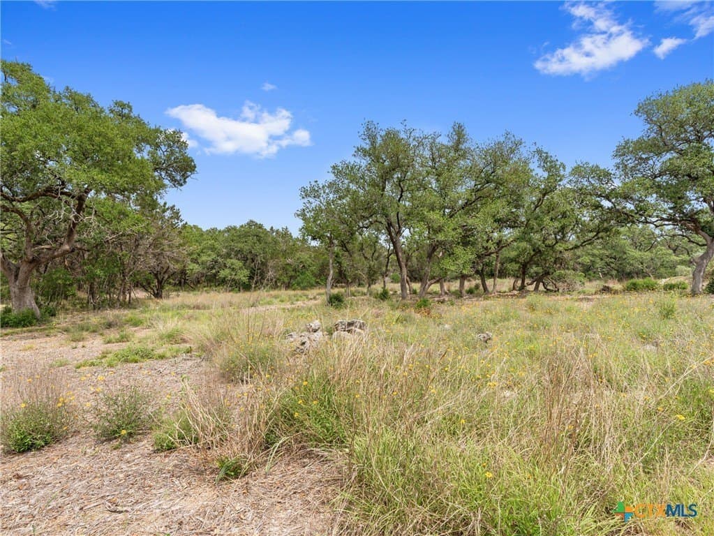 11.13 acres in Hays County - photo 36