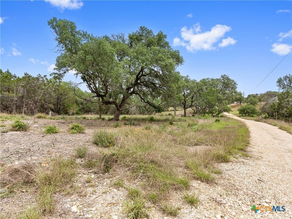 11.13 acres in Hays County - photo 33