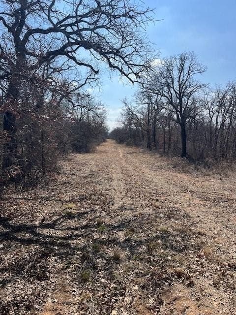 150 acres in Young County - photo 9