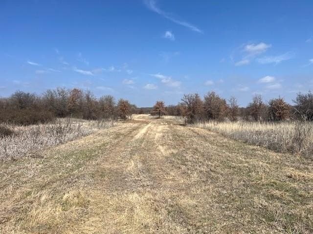 150 acres in Young County - photo 6