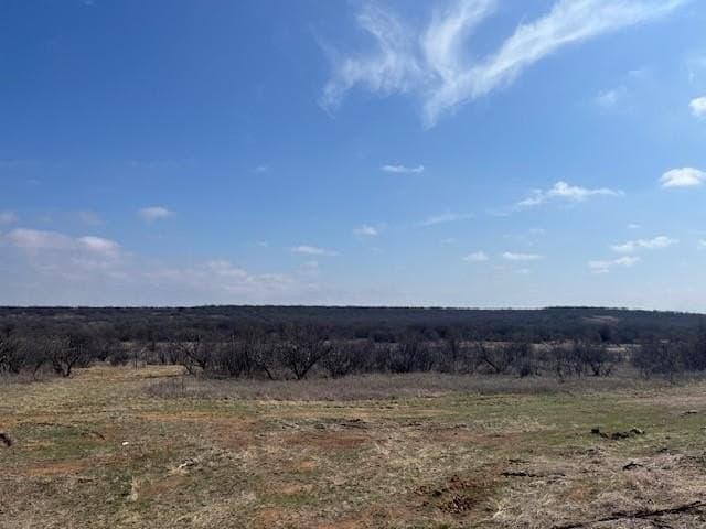 150 acres in Young County - photo 5