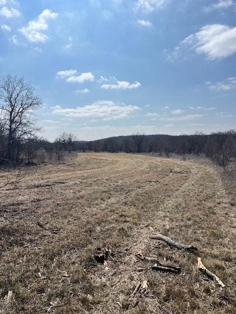 150 acres in Young County - photo 10