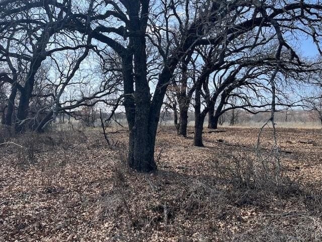 150 acres in Young County - photo 12