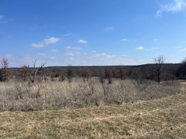 150 acres in Young County - photo 7