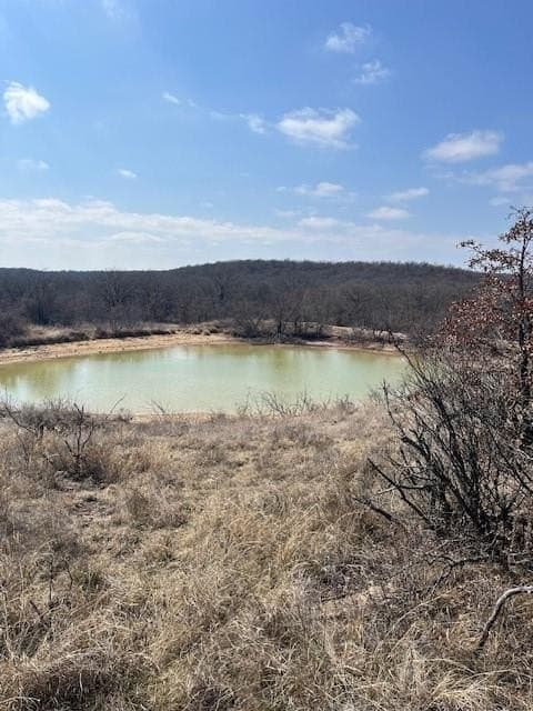 150 acres in Young County - photo 3