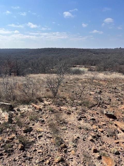 150 acres in Young County - photo 2