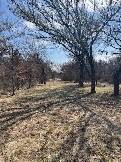 150 acres in Young County - photo 11