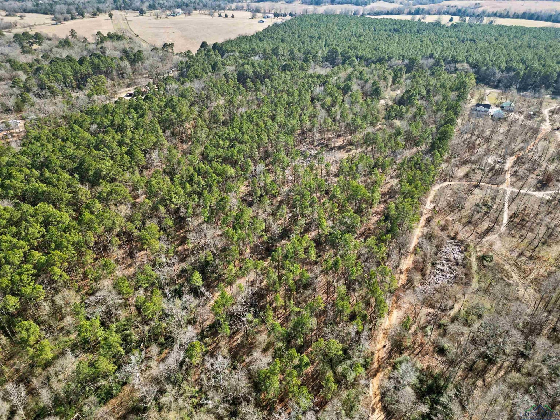 16 acres in Cherokee County - photo 10