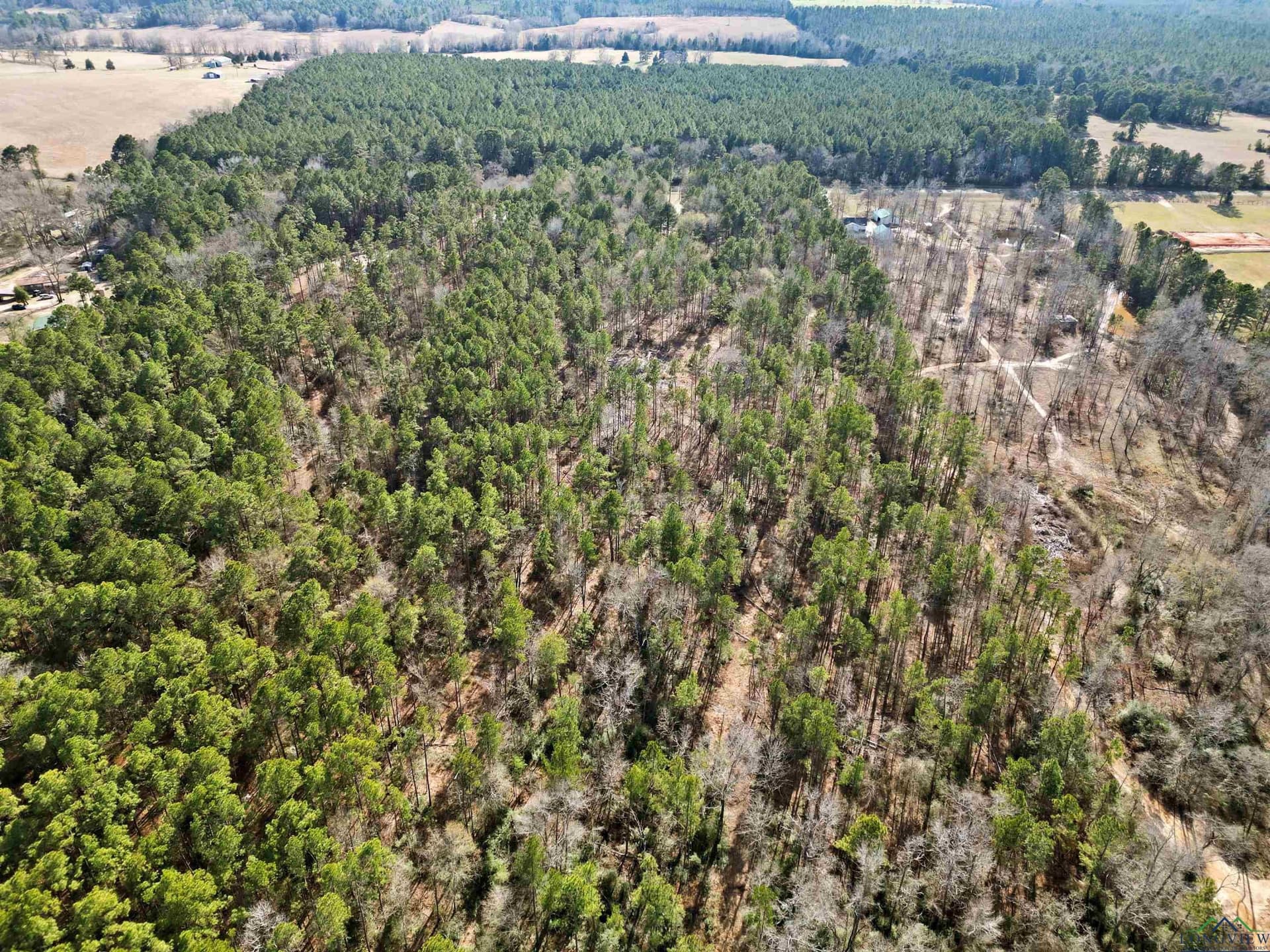 16 acres in Cherokee County - photo 9