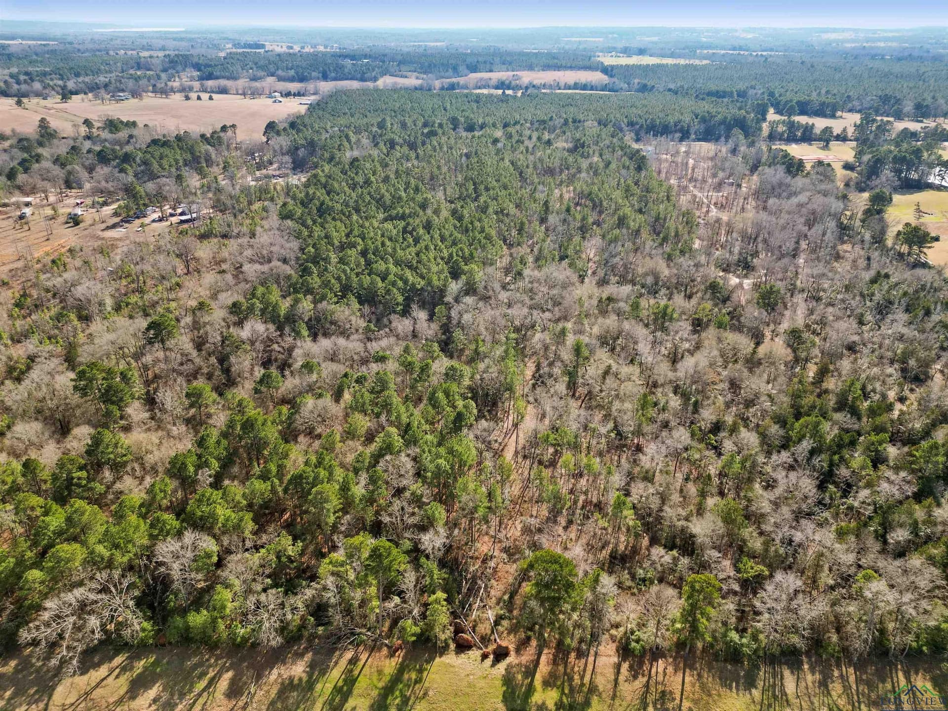 16 acres in Cherokee County - photo 7
