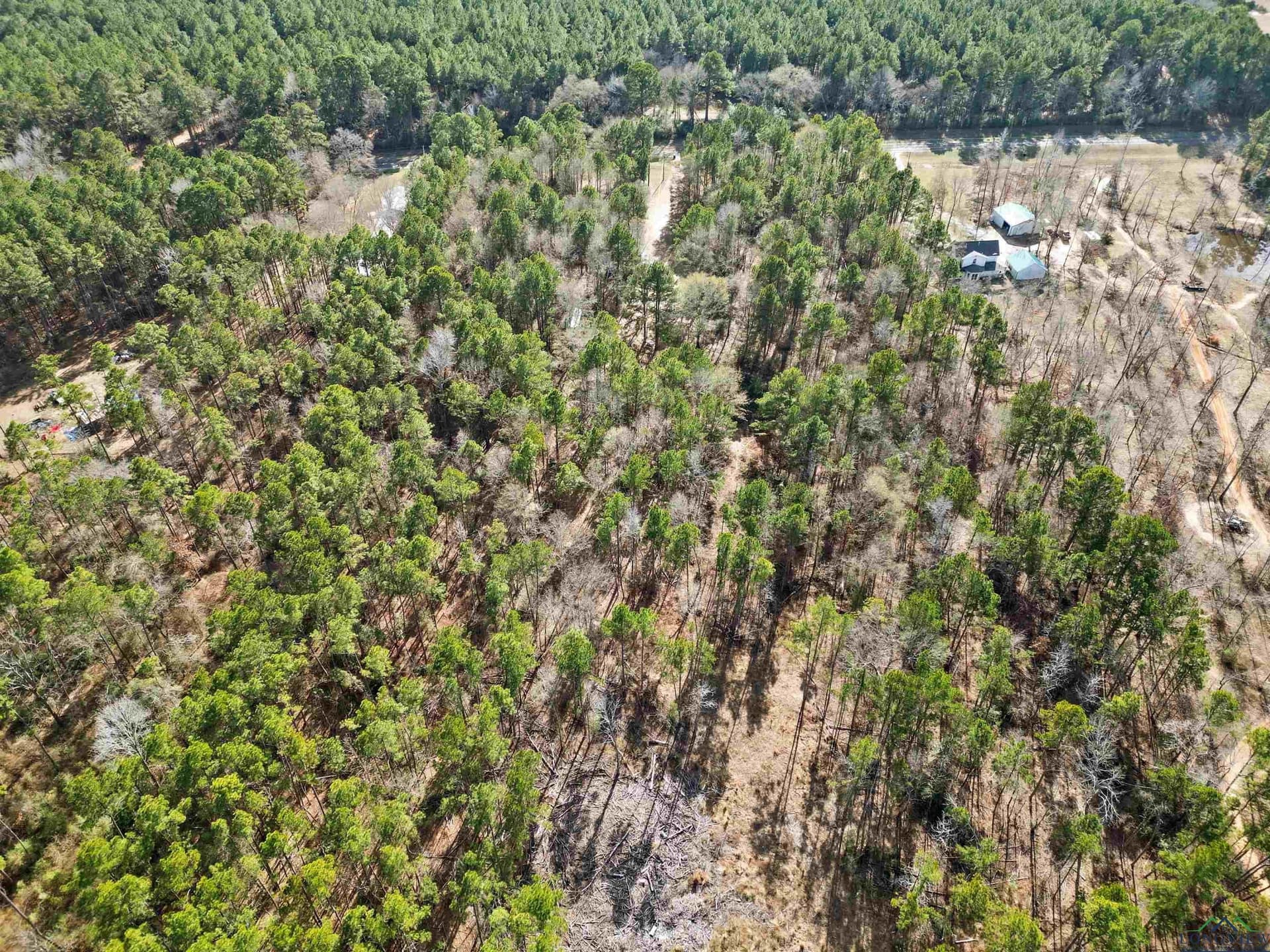 16 acres in Cherokee County - photo 11