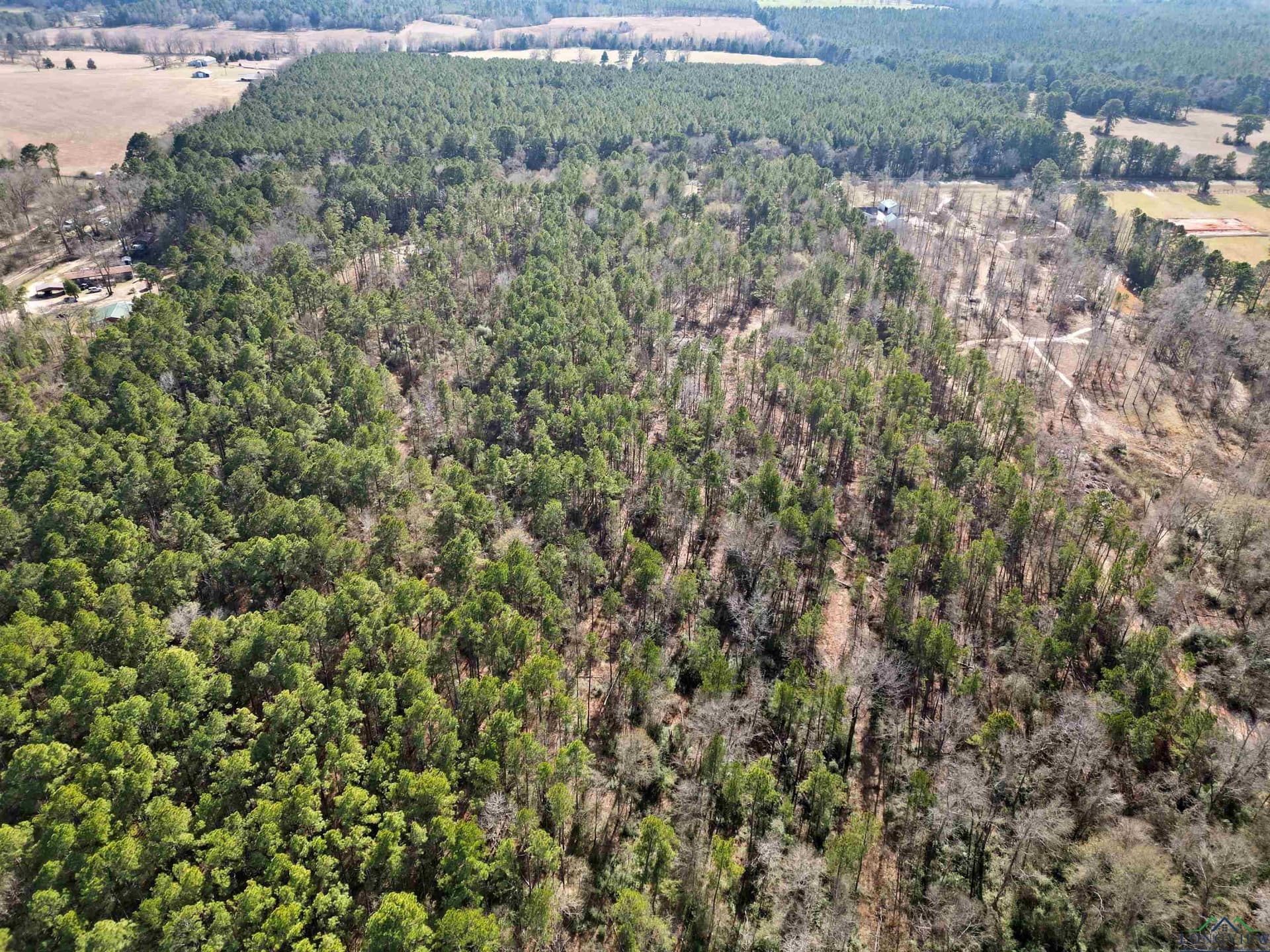 16 acres in Cherokee County - photo 8