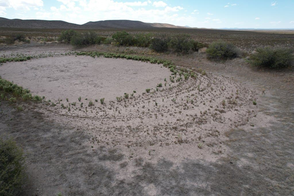20.01 acres in Hudspeth County - photo 6