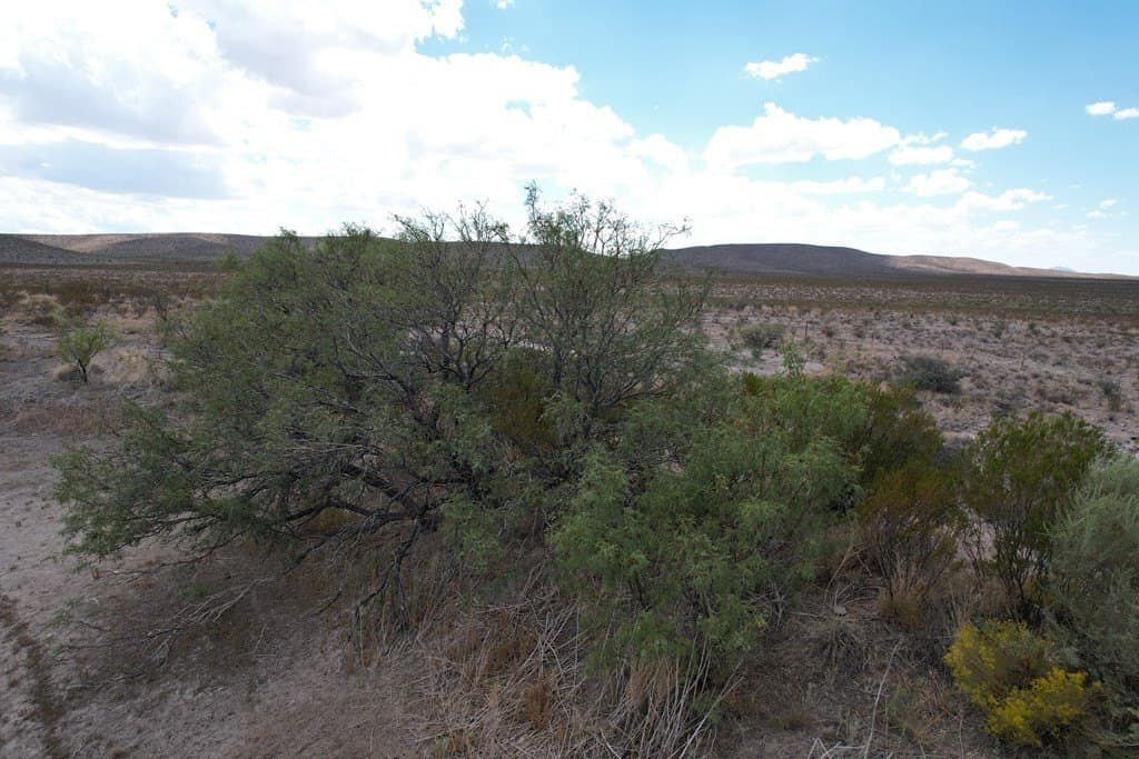 20.01 acres in Hudspeth County - photo 7