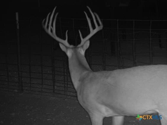 296.67 acres in Lampasas County - photo 7