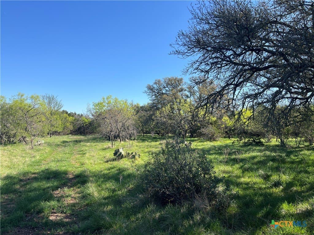 296.67 acres in Lampasas County - photo 38