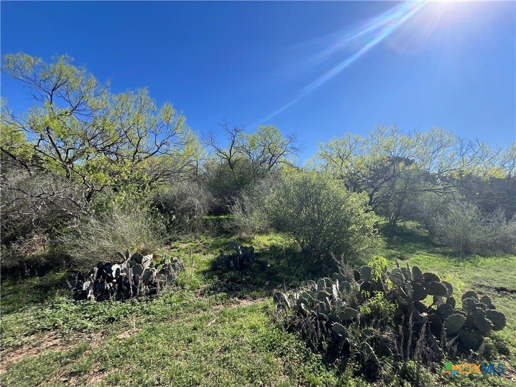 296.67 acres in Lampasas County - photo 42