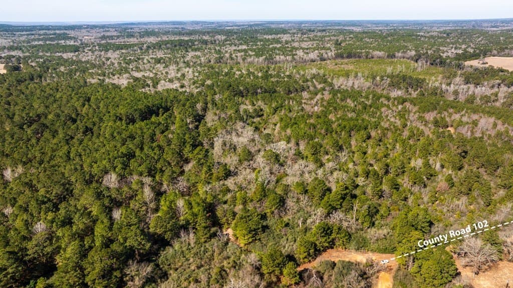 44.02 acres in ANDERSON County - photo 6