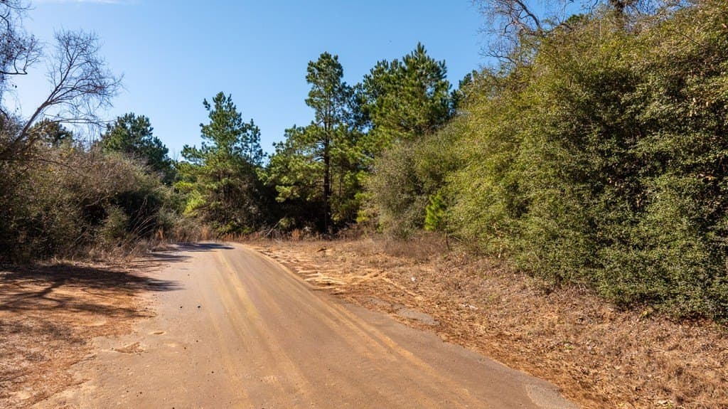 44.02 acres in ANDERSON County - photo 3
