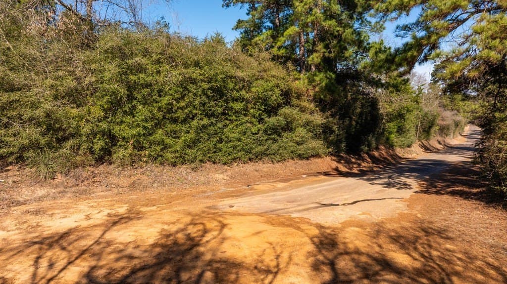 44.02 acres in ANDERSON County - photo 2