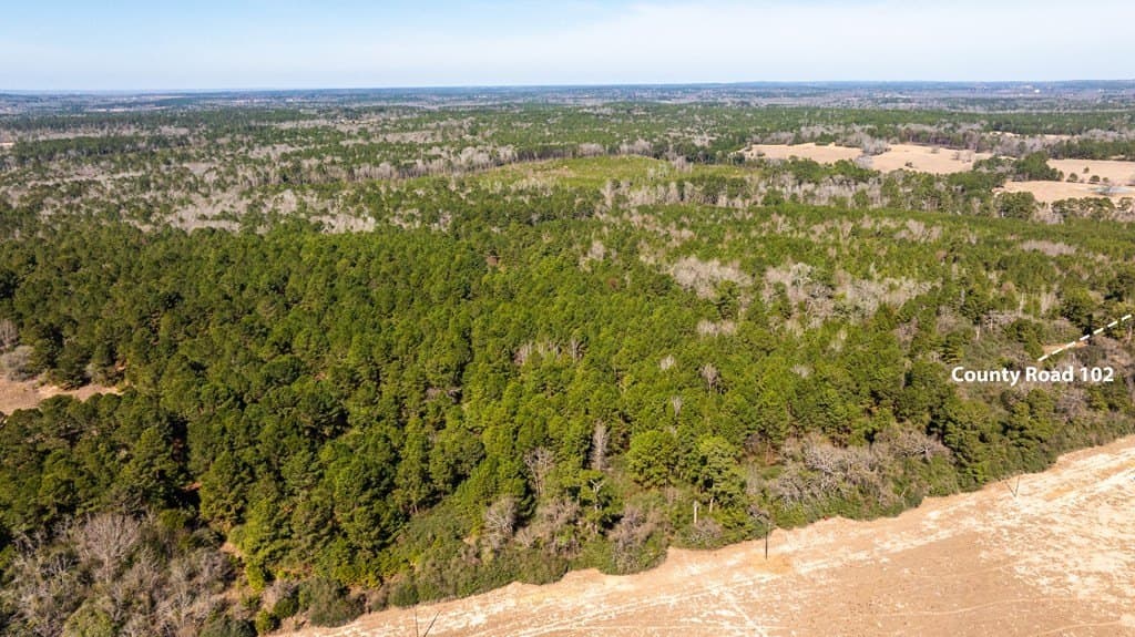 44.02 acres in ANDERSON County - photo 5