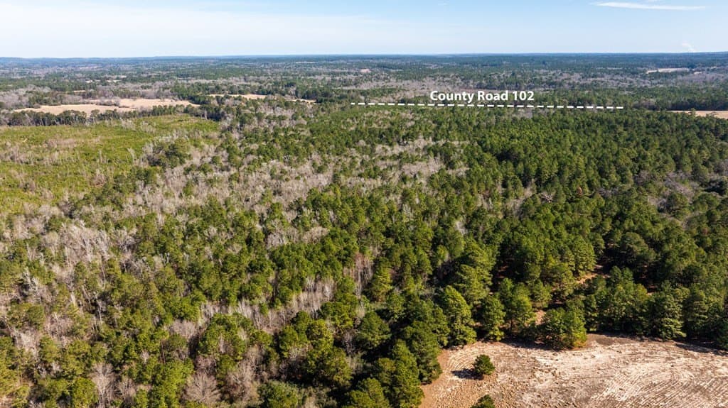 44.02 acres in ANDERSON County - photo 4