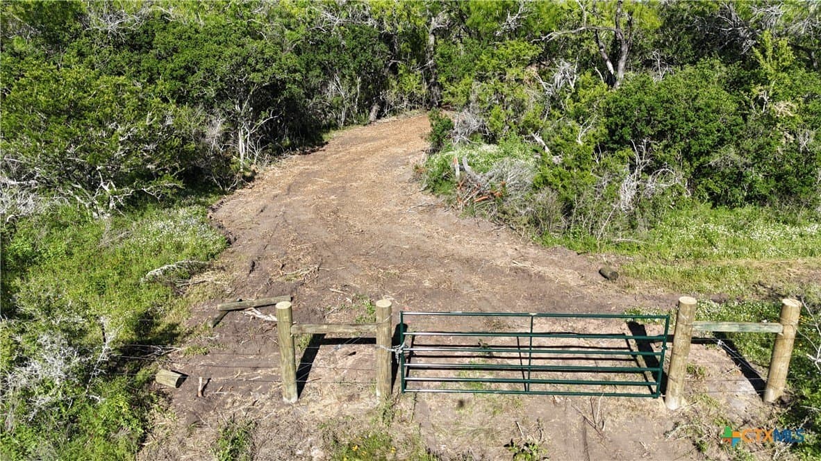 12.19 acres in Bee County - photo 2