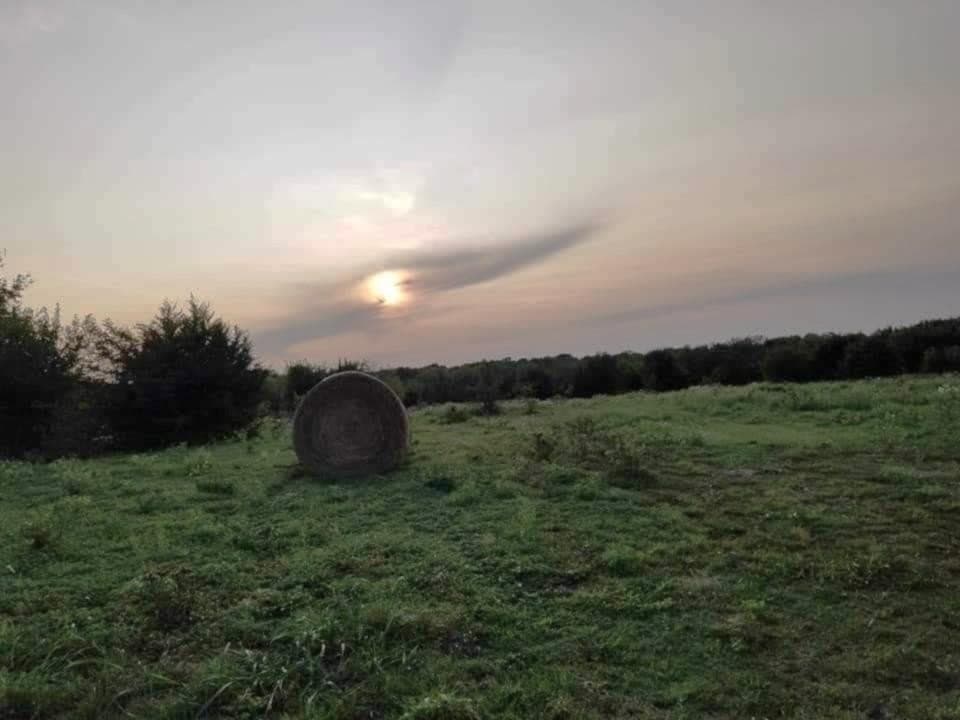 20 acres in Hunt County - photo 11