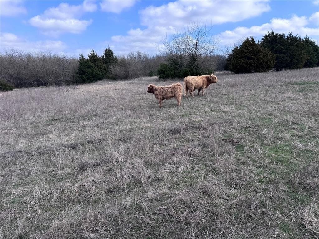 20 acres in Hunt County - photo 20