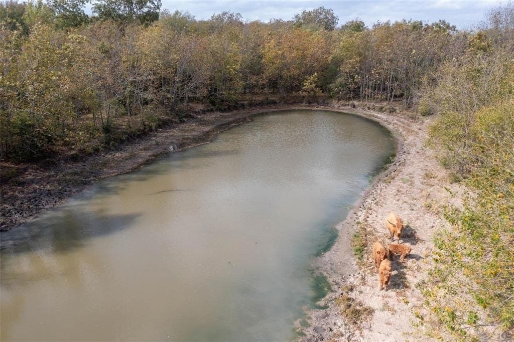 20 acres in Hunt County - photo 19