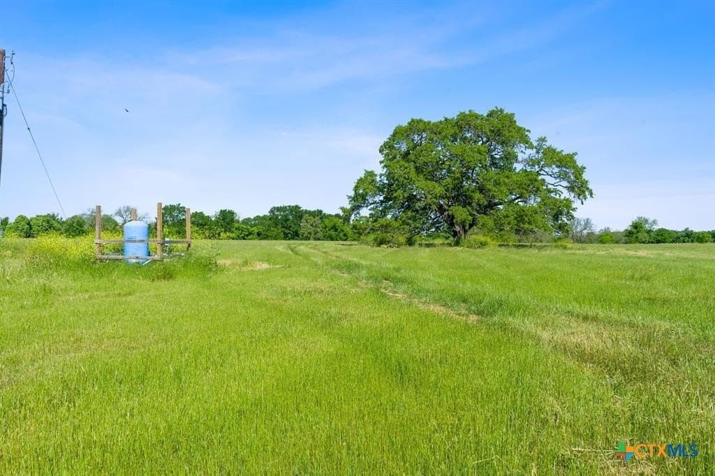 38.18 acres in Bastrop County - photo 13