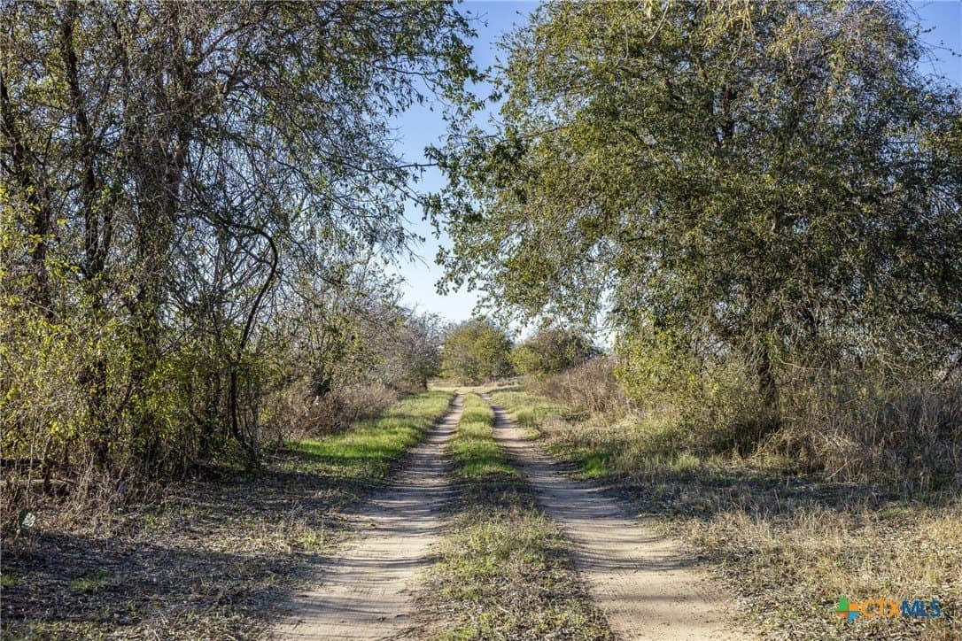 38.18 acres in Bastrop County - photo 26