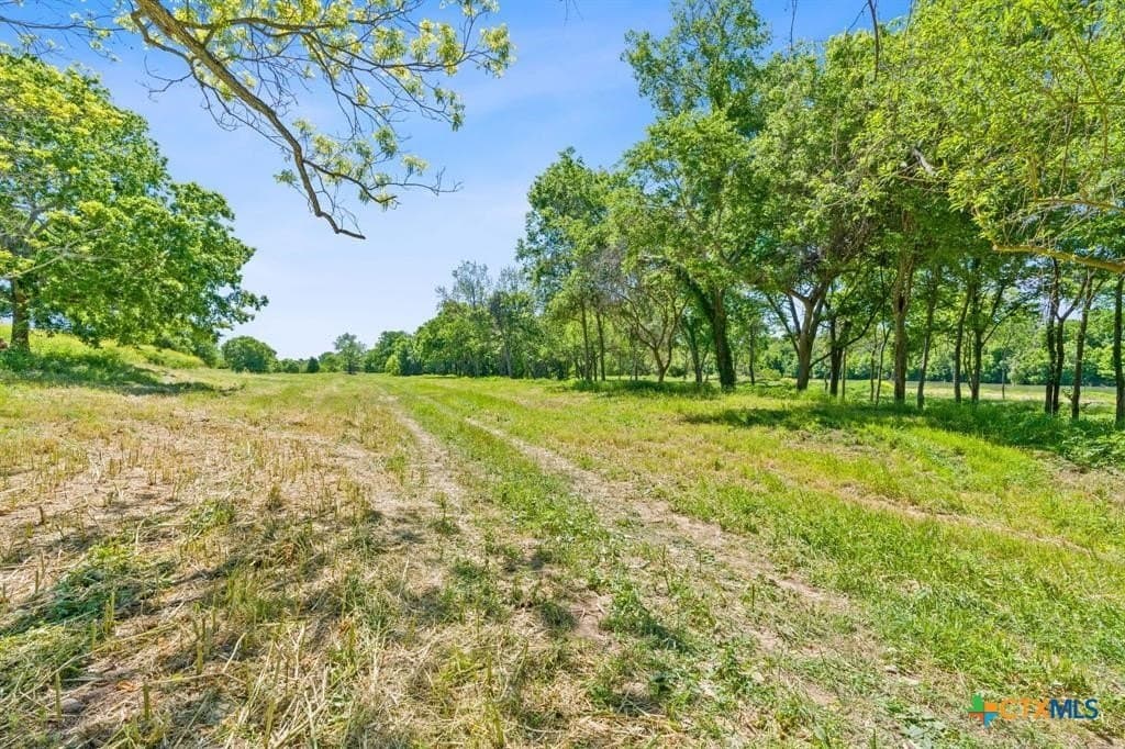 38.18 acres in Bastrop County - photo 10