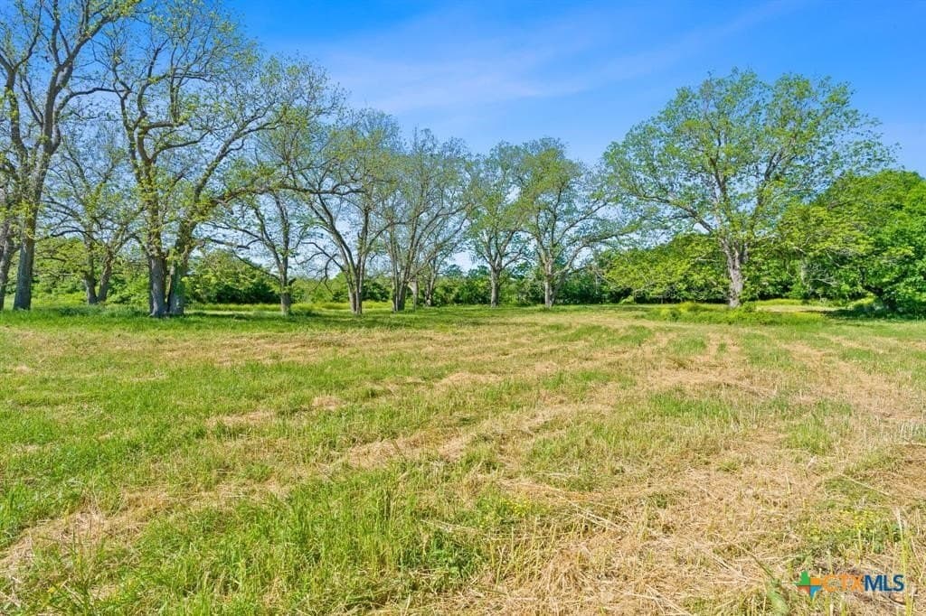 38.18 acres in Bastrop County - photo 12