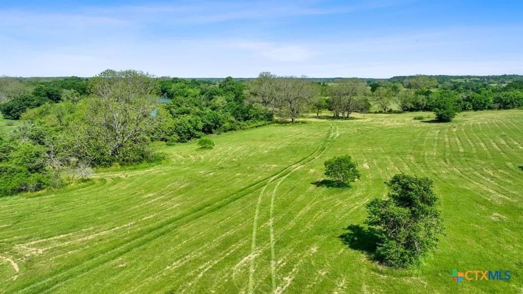 38.18 acres in Bastrop County - photo 5