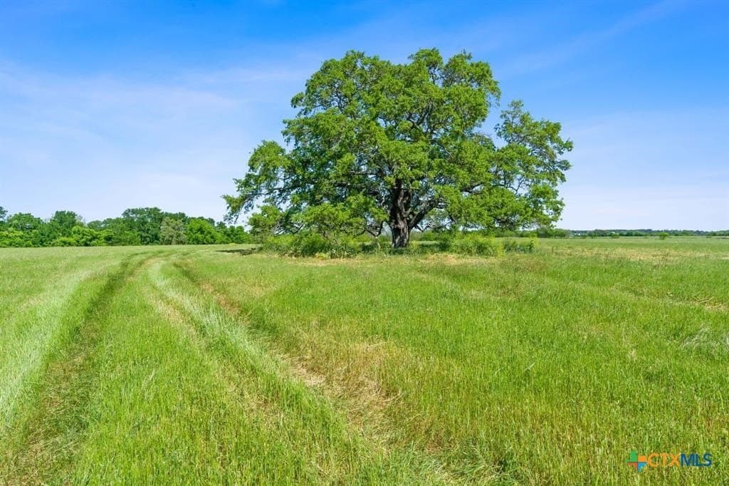 38.18 acres in Bastrop County - photo 11