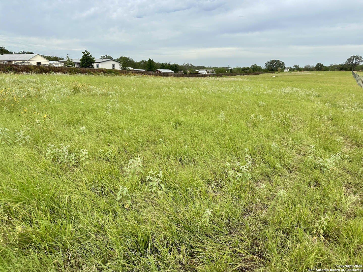 4 acres in Atascosa County - photo 3
