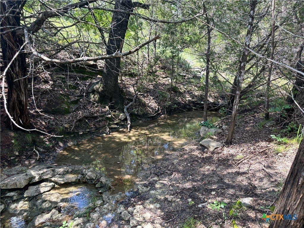 158 acres in Coryell County - photo 34