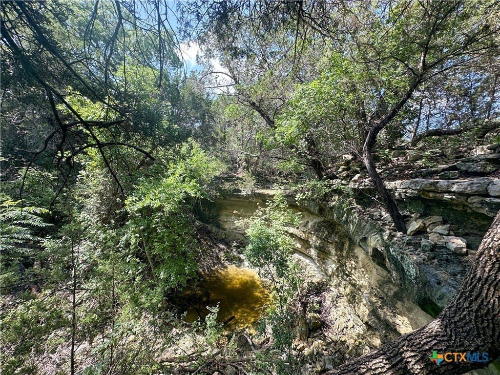 158 acres in Coryell County - photo 13