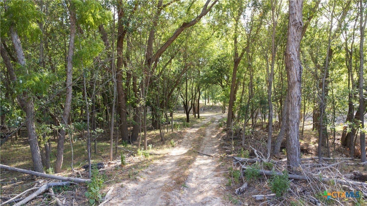 158 acres in Coryell County - photo 14