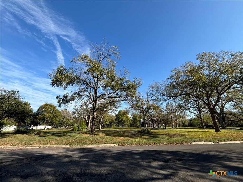 0.27 acres in Guadalupe County - photo 3