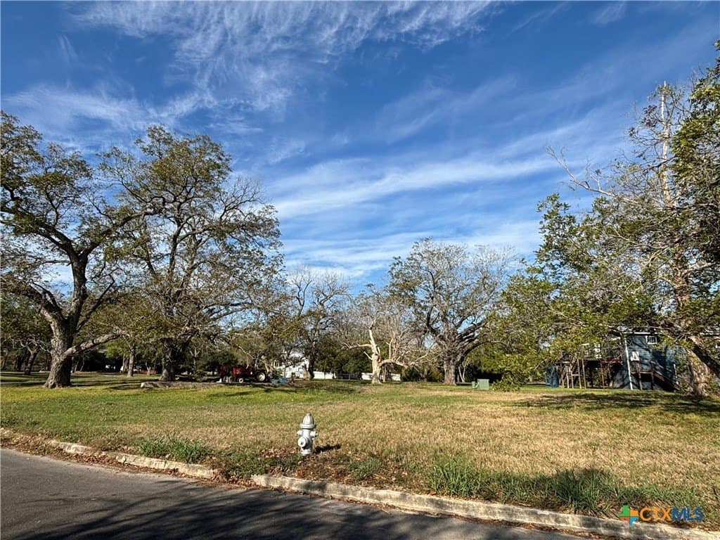 0.27 acres in Guadalupe County - photo 8