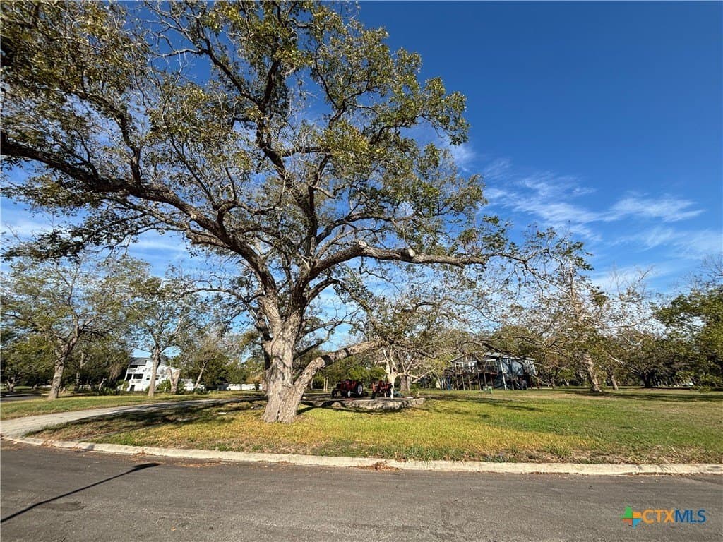 0.27 acres in Guadalupe County - photo 2