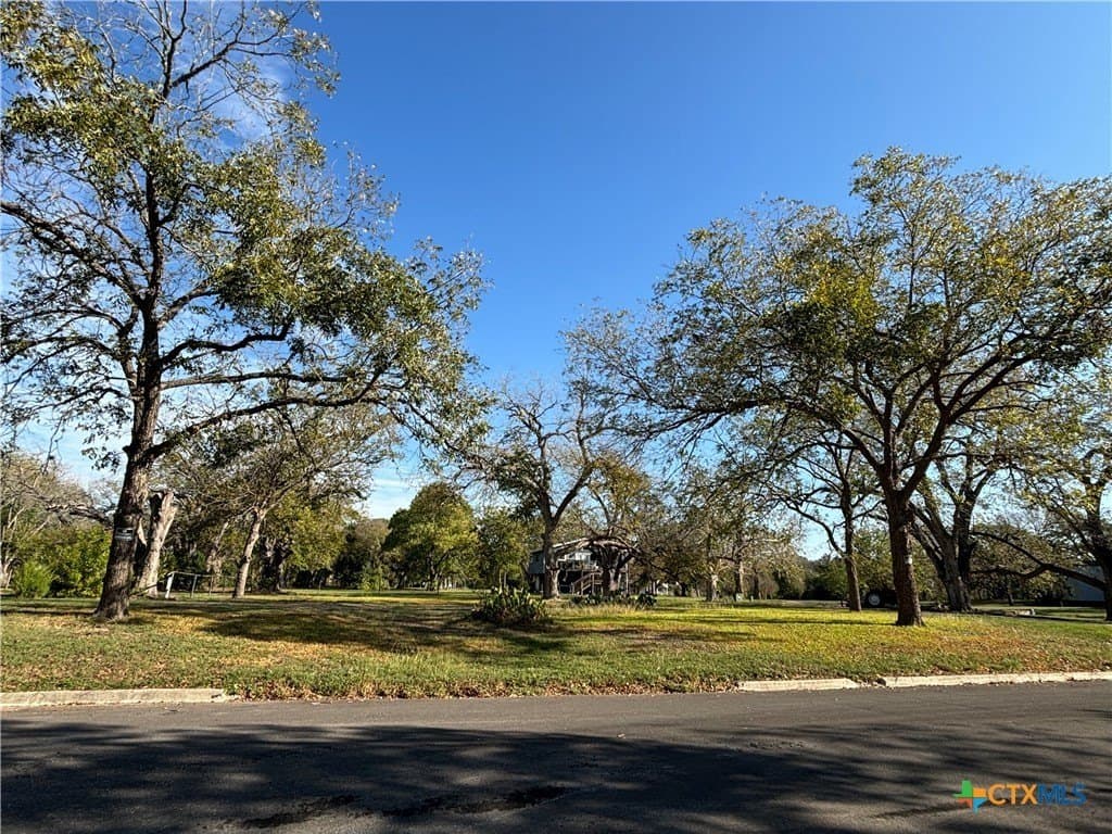 0.27 acres in Guadalupe County - photo 4