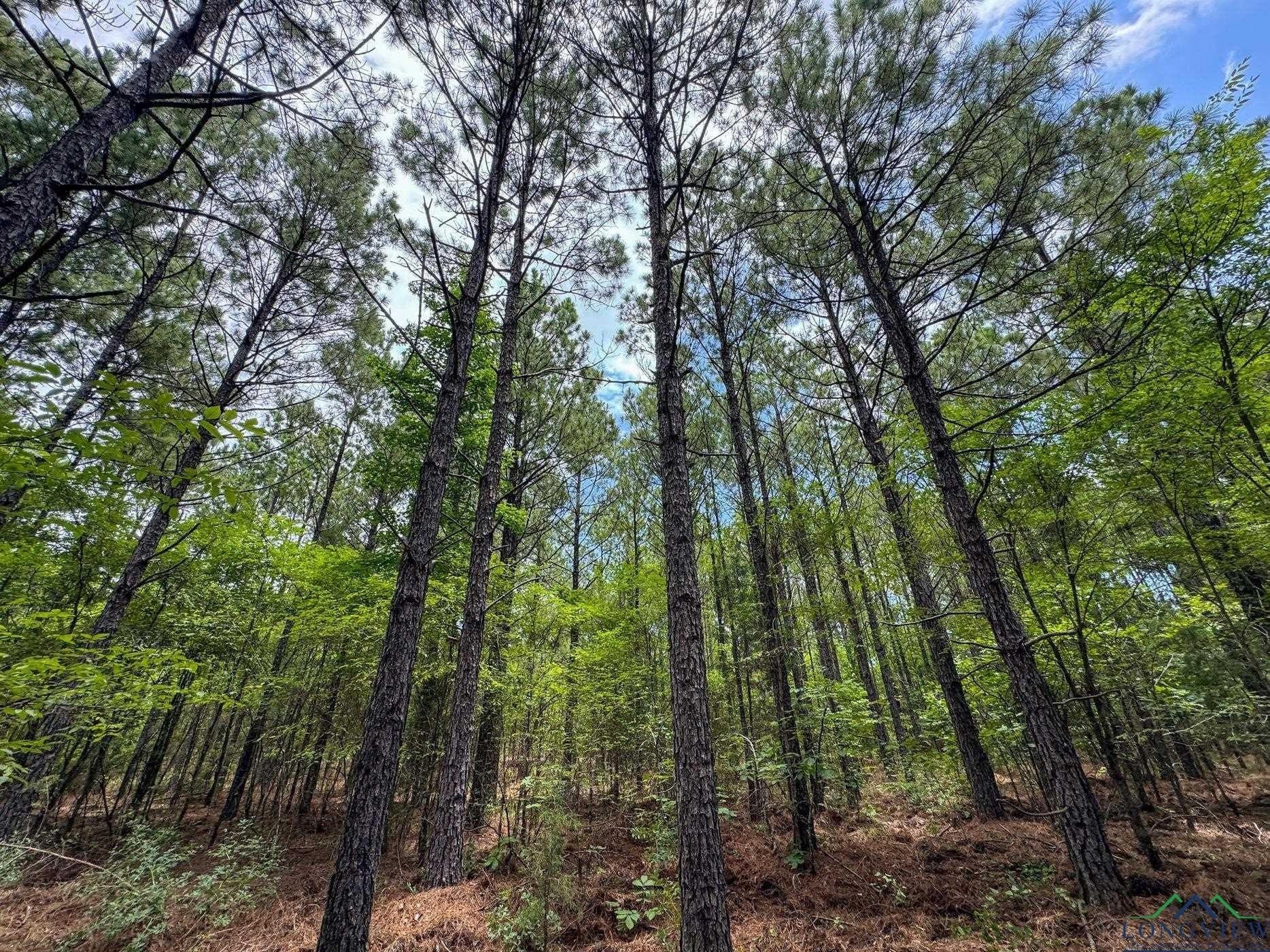60.43 acres in Morris County - photo 24