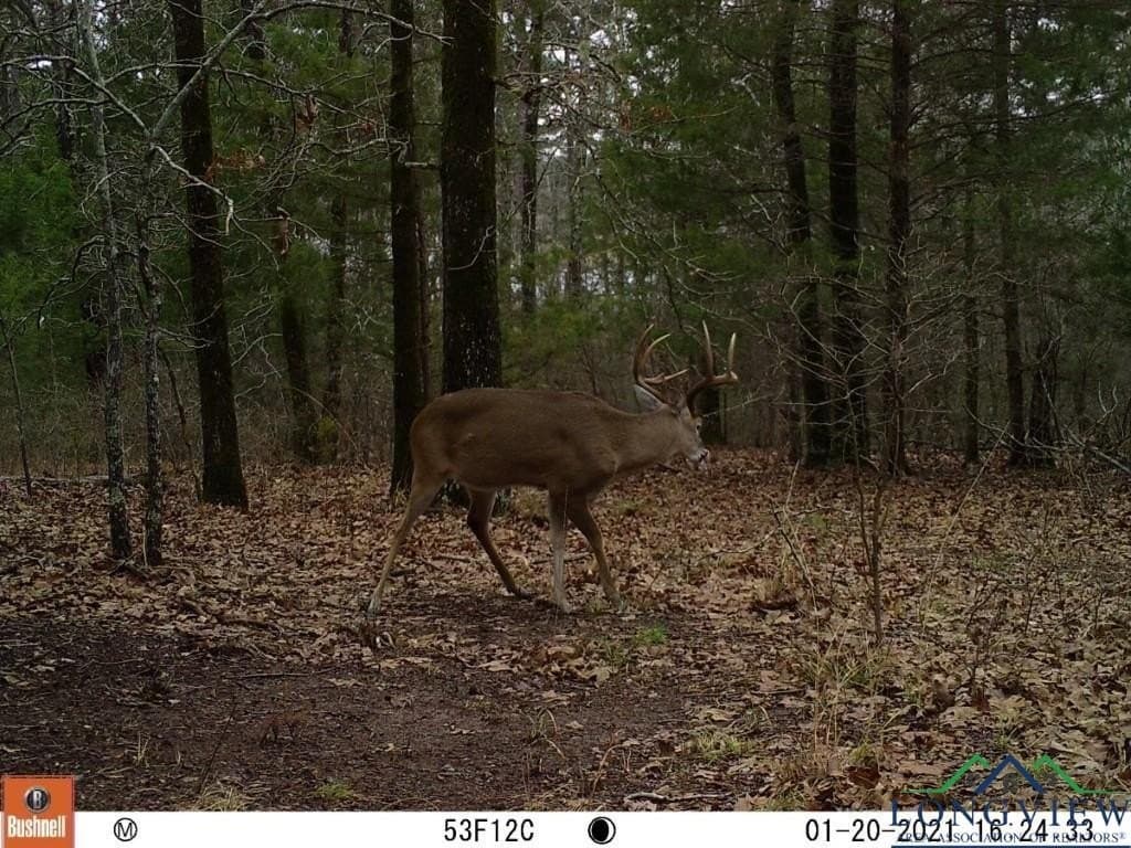 60.43 acres in Morris County - photo 15