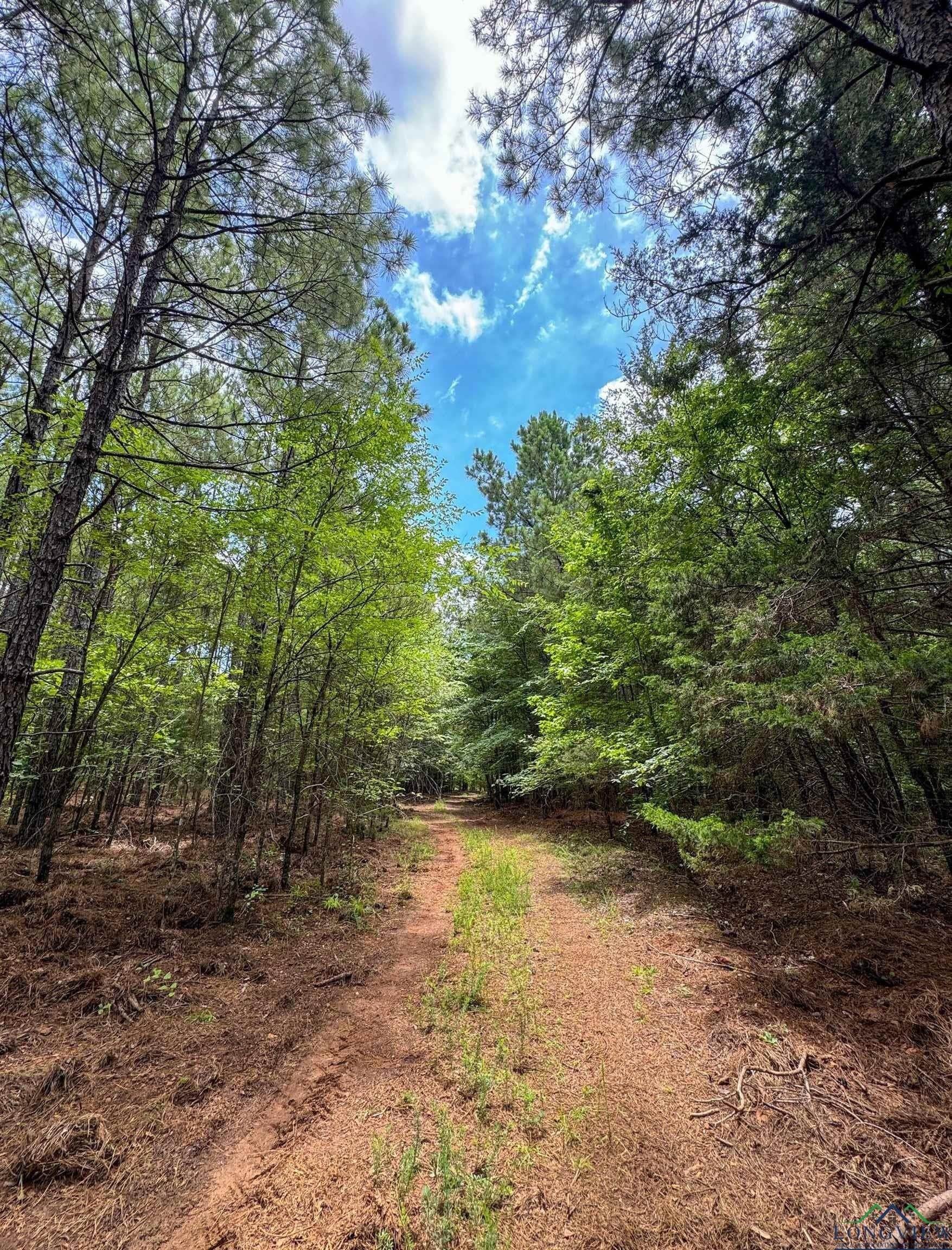60.43 acres in Morris County - photo 21