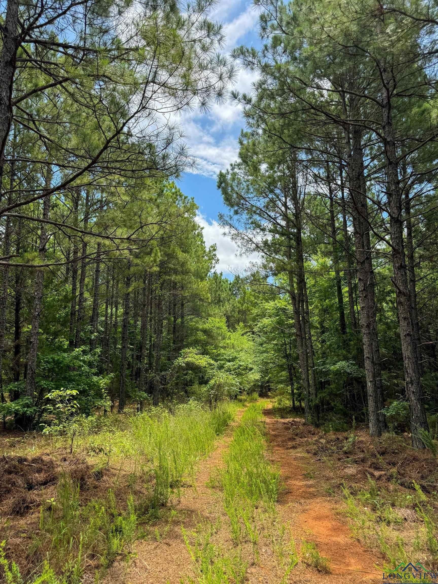60.43 acres in Morris County - photo 22
