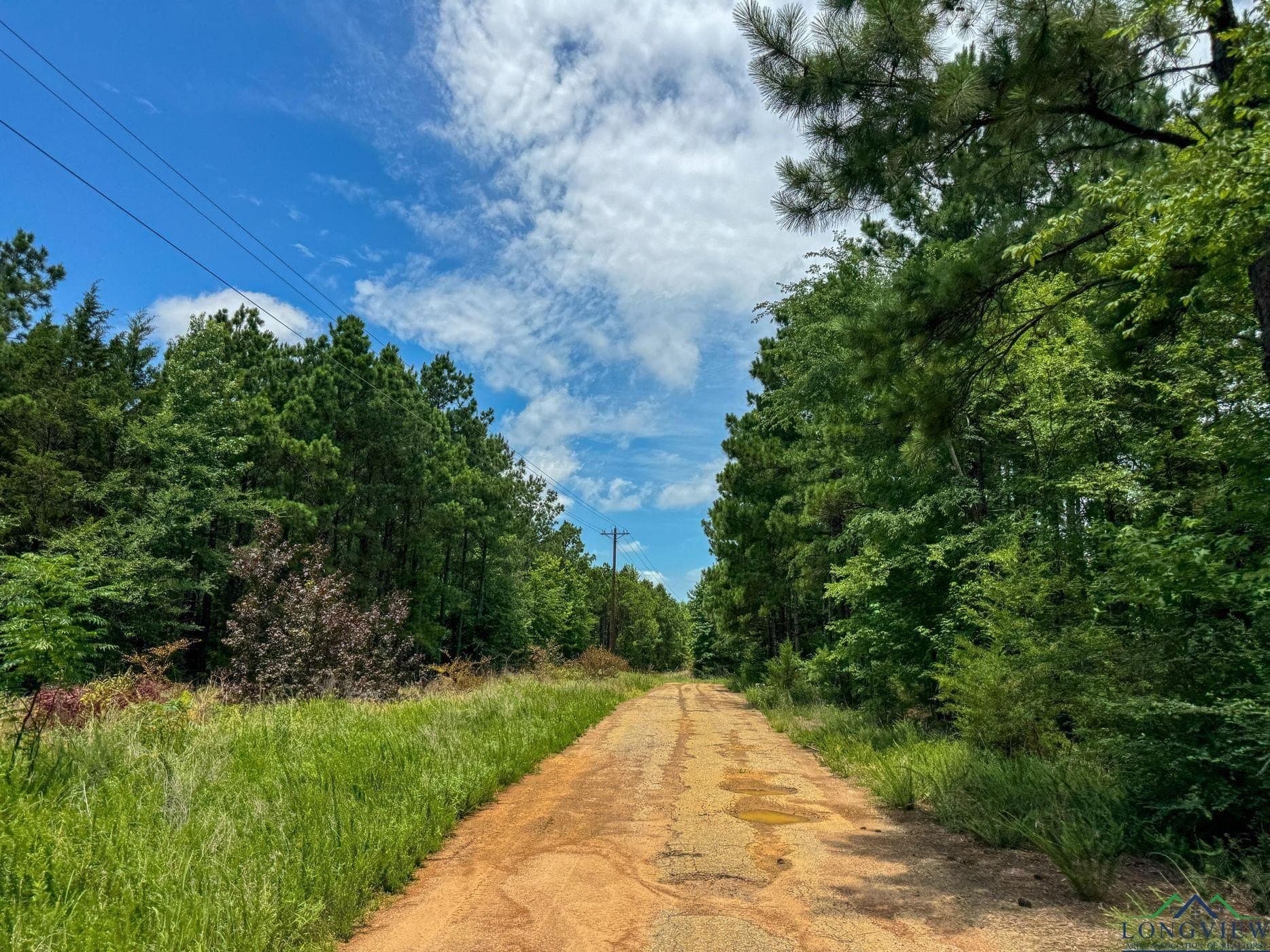 60.43 acres in Morris County - photo 38
